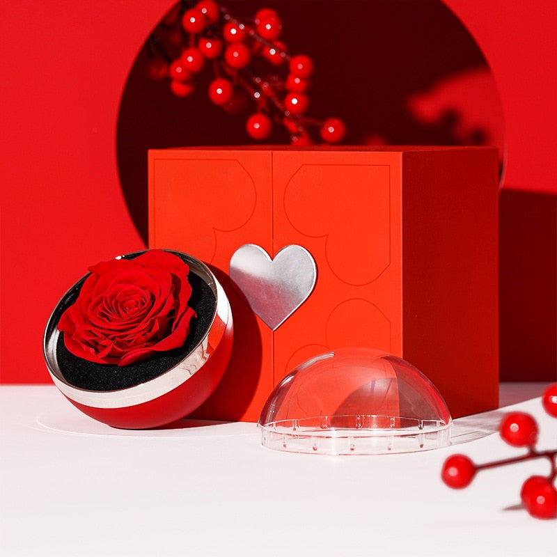 I Love You in 100 Languages Necklaces - With Long Lasting Preserved Rose - To My Love